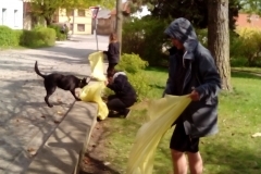 2017_05_01 Carodejnice22