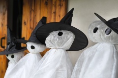 img_20251025_094339 img_20251025_094339