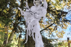 img_20251025_113525 img_20251025_113525