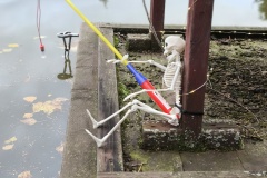 img_20251025_165908 img_20251025_165908