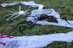 img_20251025_174016 img_20251025_174016