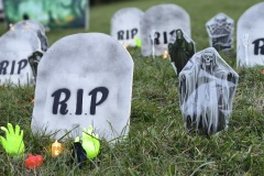 img_20251025_174029 img_20251025_174029