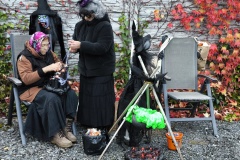 img_20251025_174340 img_20251025_174340