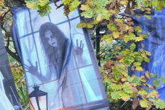 img_20251025_174456 img_20251025_174456