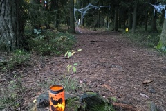 img_20251025_174927 img_20251025_174927