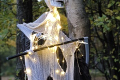 img_20251025_175115 img_20251025_175115