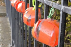 img_20251029_072535 img_20251029_072535