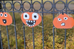 img_20251029_072608 img_20251029_072608