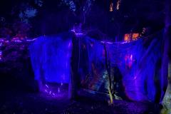 whatsapp-image-2025-10-25-at-22.06.51-4 whatsapp-image-2025-10-25-at-22.06.51-4