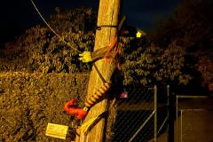 whatsapp-image-2025-10-25-at-22.09.31-6