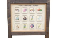 obrazek4